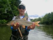 barblell on fly